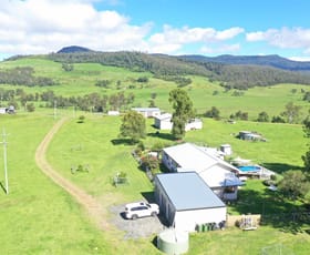 Rural / Farming commercial property sold at 640 Beaury Creek Road Urbenville NSW 2475