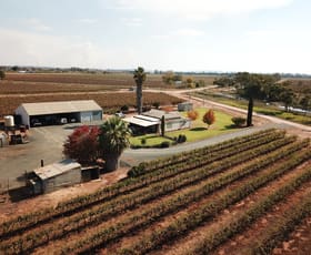 Rural / Farming commercial property sold at 817 (Fm 1502) Northern Branch Canal Road Yenda NSW 2681