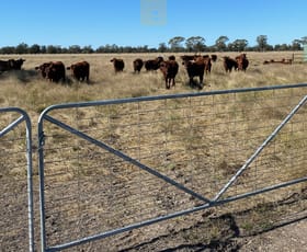 Rural / Farming commercial property sold at Cardonis Road Wee Waa NSW 2388