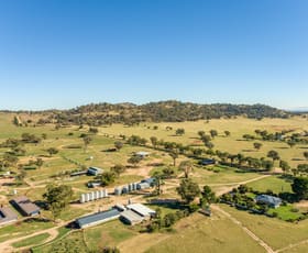 Rural / Farming commercial property sold at "Springview" Loch Lomond Road Gooloogong NSW 2805