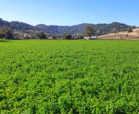 Rural / Farming commercial property sold at 1097 Nundle Road Tamworth NSW 2340