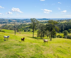 Rural / Farming commercial property sold at 220 Tallegalla Two Tree Hill Road Tallegalla QLD 4340