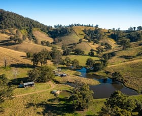 Rural / Farming commercial property sold at 185 Plantation Lane Cedar Party NSW 2429