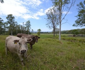 Rural / Farming commercial property sold at Woodford QLD 4514