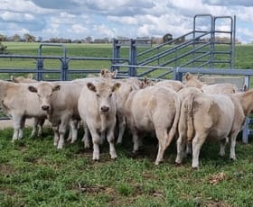 Rural / Farming commercial property sold at 189 Rumble Road Beverley WA 6304