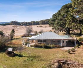 Rural / Farming commercial property sold at 4610 Kings Highway Monga NSW 2622