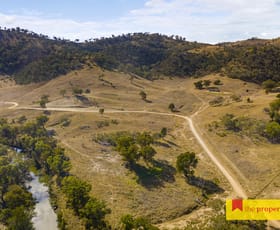 Rural / Farming commercial property sold at 3496 Yarrabin Road Mudgee NSW 2850