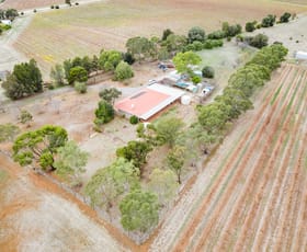 Rural / Farming commercial property sold at 1798 Barossa Valley Way Rowland Flat SA 5352