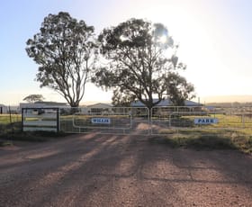 Rural / Farming commercial property sold at 85 Rosser Road Peak Hill NSW 2869