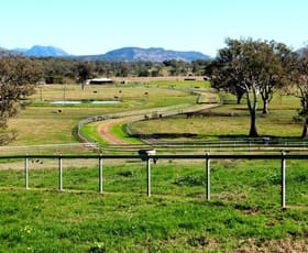 Rural / Farming commercial property sold at 501 Christmas Creek Road Tabooba QLD 4285