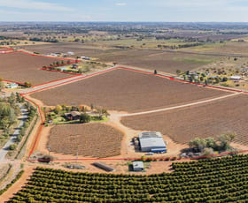 Rural / Farming commercial property sold at 141 Stringer Road Leeton NSW 2705