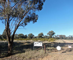 Rural / Farming commercial property sold at 913 Thanowring Road Temora NSW 2666