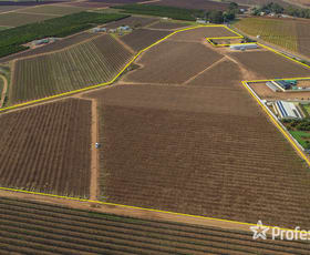 Rural / Farming commercial property sold at Lot 2 Azolia Street Red Cliffs VIC 3496