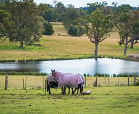 Rural / Farming commercial property sold at 416 Wyndham Lane Kanoona NSW 2550