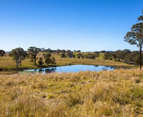 Rural / Farming commercial property sold at 58 Nowendoc Road Killawarra NSW 2429