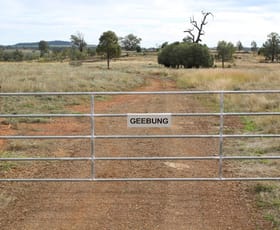Rural / Farming commercial property for sale at "Geebung" Gwydir Highway Gravesend NSW 2401