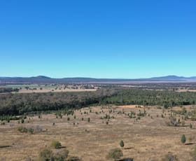 Rural / Farming commercial property sold at Lot 80 8432 Black Stump Way Tambar Springs NSW 2381