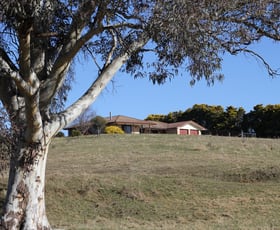Rural / Farming commercial property sold at 141 McManus Road Portland NSW 2847