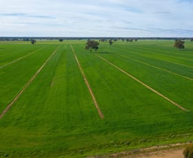 Rural / Farming commercial property sold at Deniliquin NSW 2710