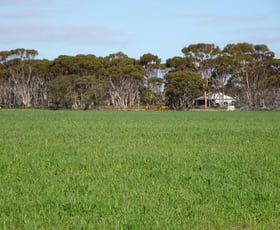 Rural / Farming commercial property sold at Lot 9790 Neve Road Pingrup WA 6343