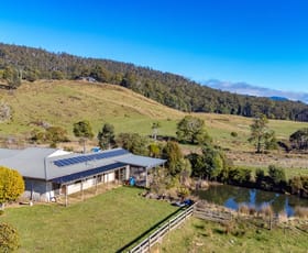 Rural / Farming commercial property sold at 499 Reiffers Road Meander TAS 7304