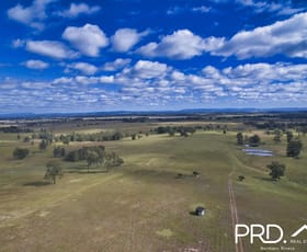 Rural / Farming commercial property sold at 75 Gregors Road Spring Grove NSW 2470