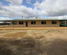 Rural / Farming commercial property sold at 1012 Ivey Road South Bodallin WA 6424