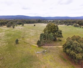 Rural / Farming commercial property sold at 0 Rifle Butts Road Landsborough VIC 3384