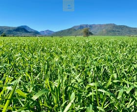 Rural / Farming commercial property sold at 1240 Mellburra Road Narrabri NSW 2390