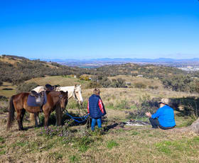 Rural / Farming commercial property sold at 'Marengo Station' Daruka Road Tamworth NSW 2340