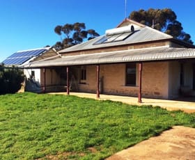 Rural / Farming commercial property sold at 1115 Appila Road Booleroo Centre SA 5482