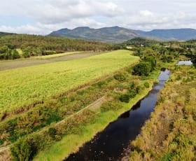 Rural / Farming commercial property sold at Calen QLD 4798