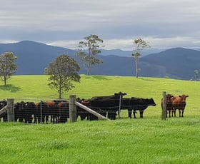 Rural / Farming commercial property sold at 1420 Ebsworth Road Glen Martin NSW 2321