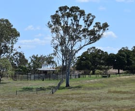 Rural / Farming commercial property sold at 733 Maloney Road Thoopara QLD 4800