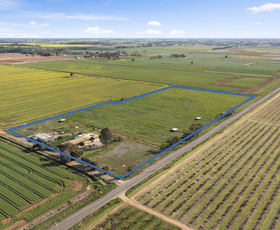 Rural / Farming commercial property sold at 446 Healy Road Cobram VIC 3644