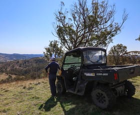 Rural / Farming commercial property sold at 'Rutherglen' Limbri-Weabonga Road Weabonga NSW 2340