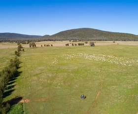 Rural / Farming commercial property sold at Spring Mount' Crowther Road Gooloogong NSW 2805
