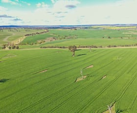 Rural / Farming commercial property sold at 00 Currawong Rd Young NSW 2594