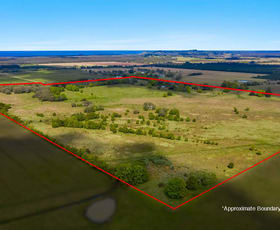 Rural / Farming commercial property sold at 207 Martins Lane Knockrow NSW 2479
