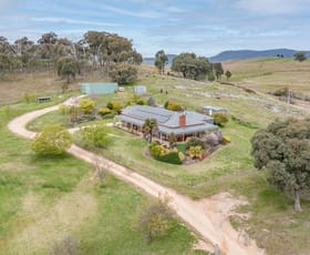 Rural / Farming commercial property for sale at 165 Phillips Road Castle Creek VIC 3691