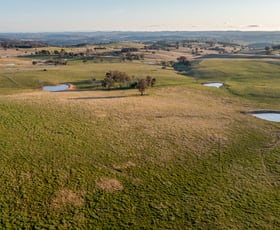 Rural / Farming commercial property sold at 164 Castle Hill Road Gunning NSW 2581