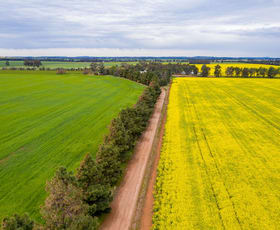 Rural / Farming commercial property sold at 208 Roping Pole Road Ganmain NSW 2702