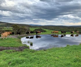 Rural / Farming commercial property sold at Lot 2 Mount Richard Road Kalgan WA 6330