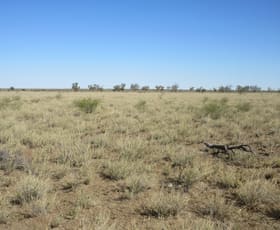 Rural / Farming commercial property sold at Aramac QLD 4726