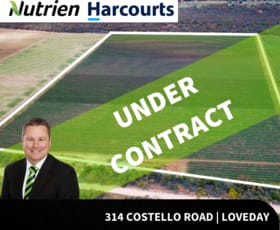 Rural / Farming commercial property sold at 314 Costello Road Loveday SA 5345