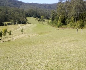 Rural / Farming commercial property for sale at 149 The Old Coach Road Batar Creek NSW 2439