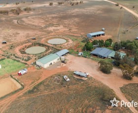 Rural / Farming commercial property sold at 1290 Petro Mail Road Arumpo NSW 2715