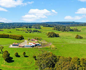 Rural / Farming commercial property sold at 245 Phillips Track Beech Forest VIC 3237