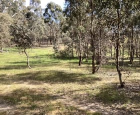Rural / Farming commercial property for sale at Lot 38B Lexton-Evansford Road Evansford VIC 3371