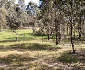 Rural / Farming commercial property sold at Lot 38B Lexton-Evansford Road Evansford VIC 3371